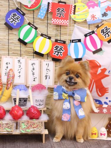 20240723ルルちゃん